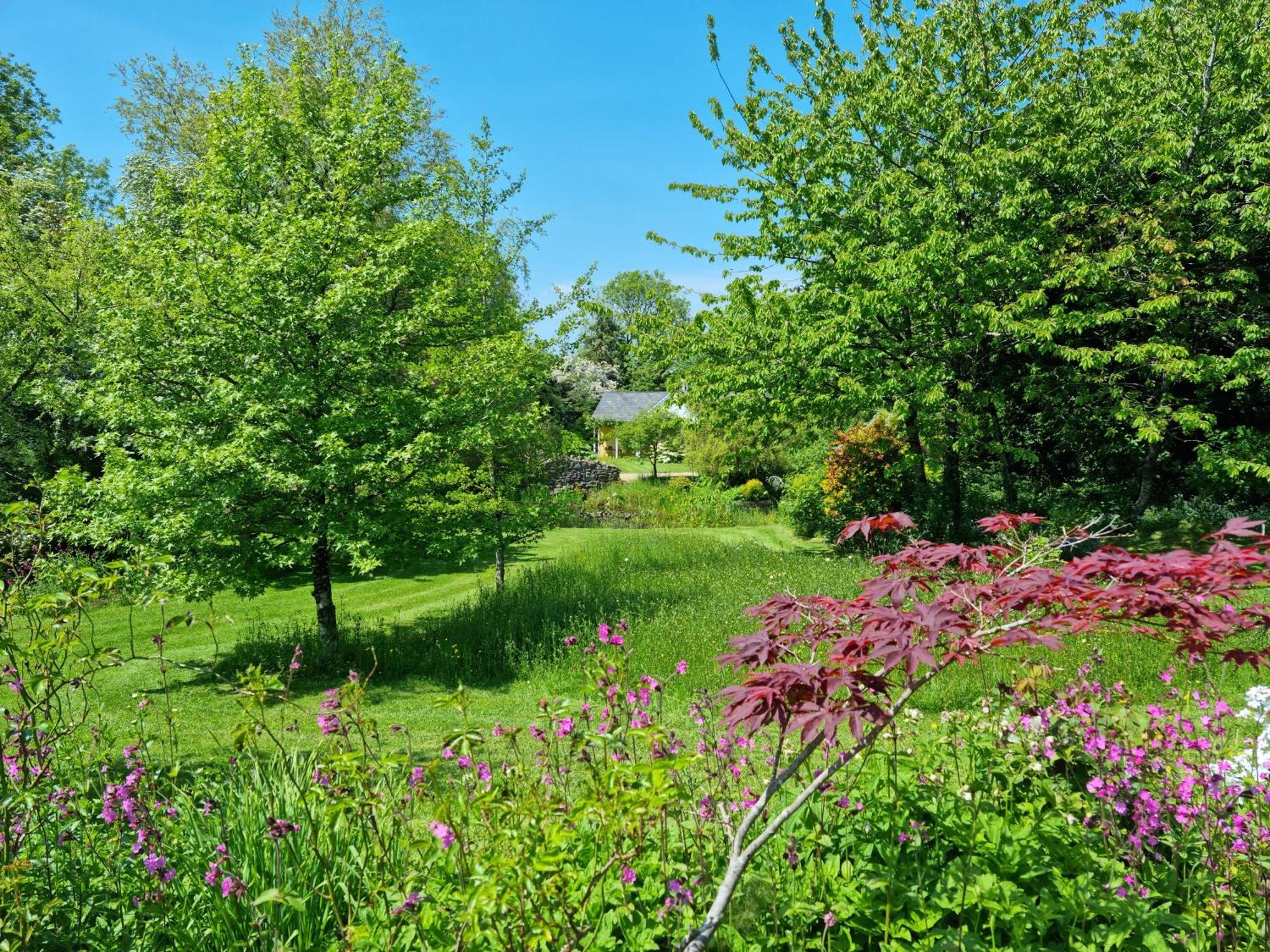 Glyndwr Vineyard Hotel Cowbridge Buitenkant foto